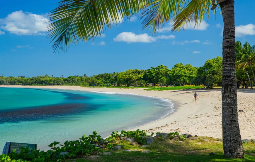 Natadola Beach Day Tour at Fiji