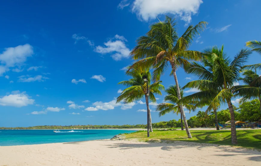 Natadola Beach Day Tour at Fiji