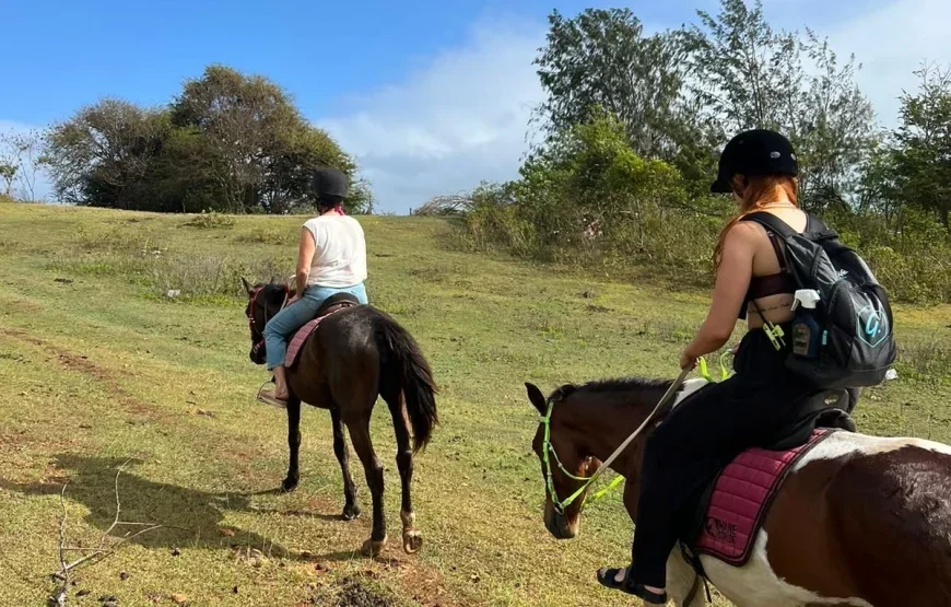 Natadola Beach Cross Country Horse Riding Fiji