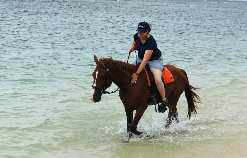 Natadola Beach Horse Ride + Beach Massage