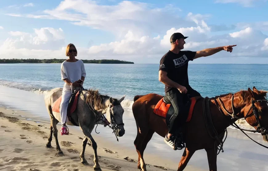 Natadola Beach Horse Ride + Beach Massage
