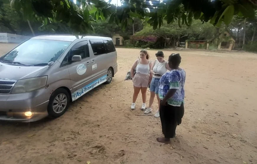 Ultiqa Fiji Palms to Natadola Beach with Return to Nalagi Hotel