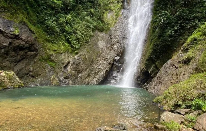 Coral Coast Fiji Waterfall and Rainforest Horse Riding 2026