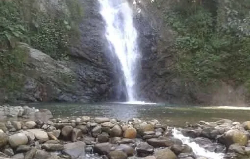 Coral Coast Fiji Waterfall and Rainforest Horse Riding 2026