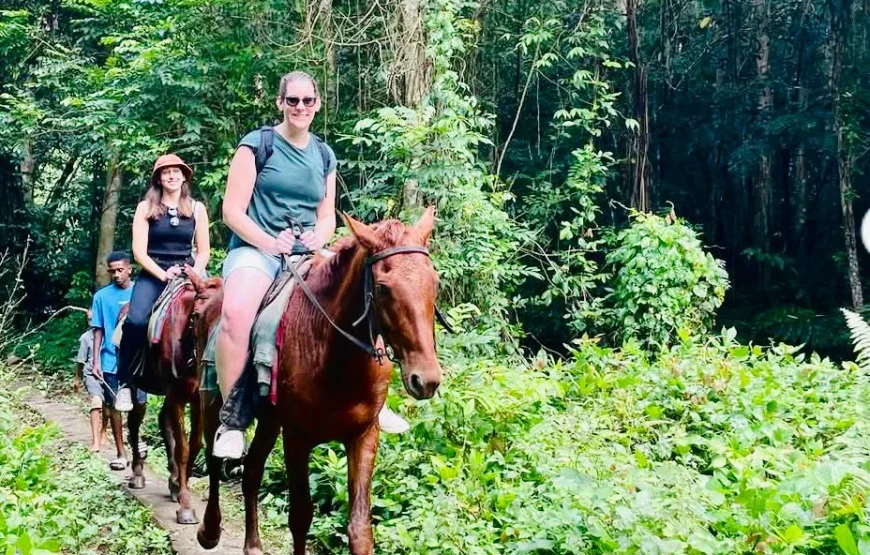 Coral Coast Fiji Waterfall and Rainforest Horse Riding 2026
